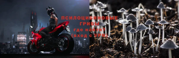 ALPHA-PVP Алексеевка