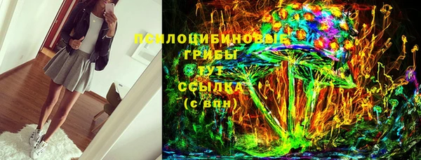 гидропоника Алзамай