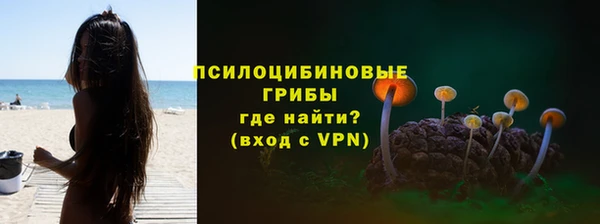 ALPHA-PVP Алексеевка