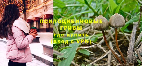 гидропоника Алзамай